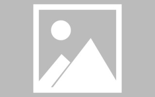 亳州龙江乐从网站建设（乐从和龙江）